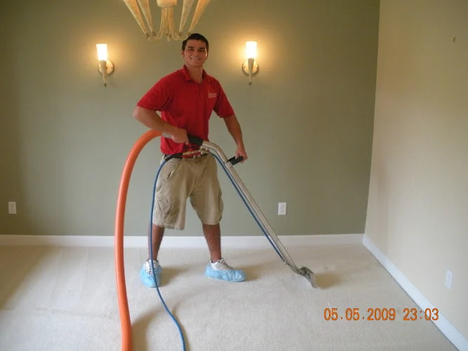Healthy Carpets