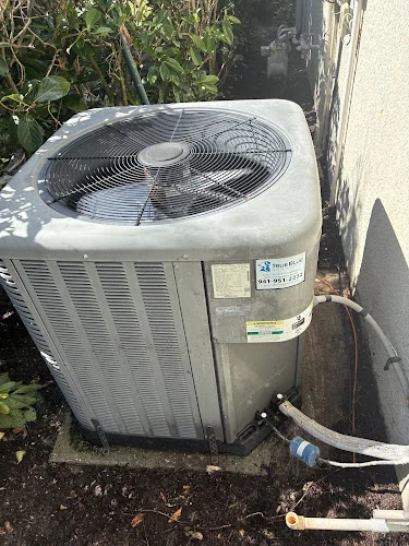 TrueBlue AC Services