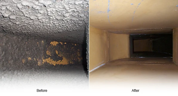 Proclean Castle Rock