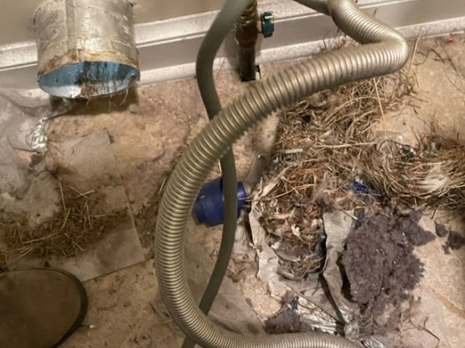 TM Dryer Vent Cleaning