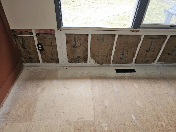 Titan Mold Removal