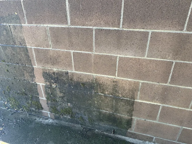geyser steam cleaning