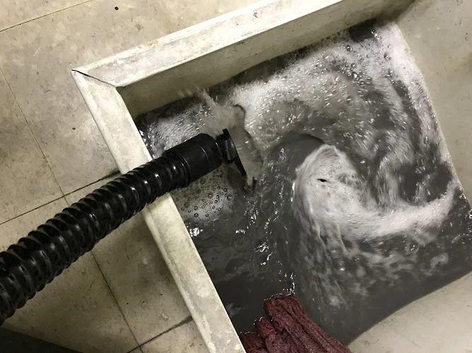Coastal Steam Clean