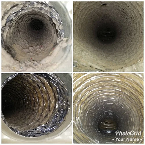 Daffy Ducts