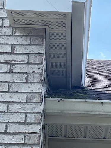 Middle Tennessee Exterminating LLC Pest control and Wildlife