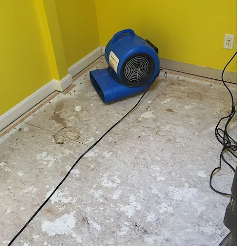 AdvantaClean of the West Side