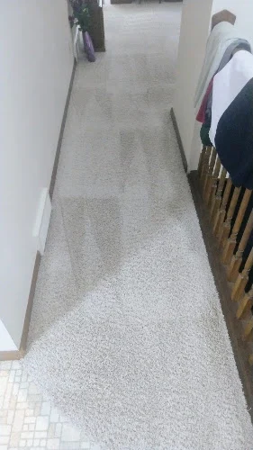 ULTRA CARPET CLEANING