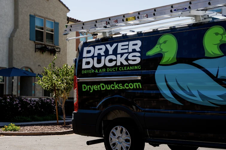 Dryer Ducks - Gilbert