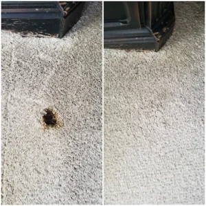 Suck it up Tile and Carpet Cleaning