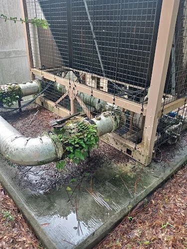 Prime Chimney Inspection Services, FL