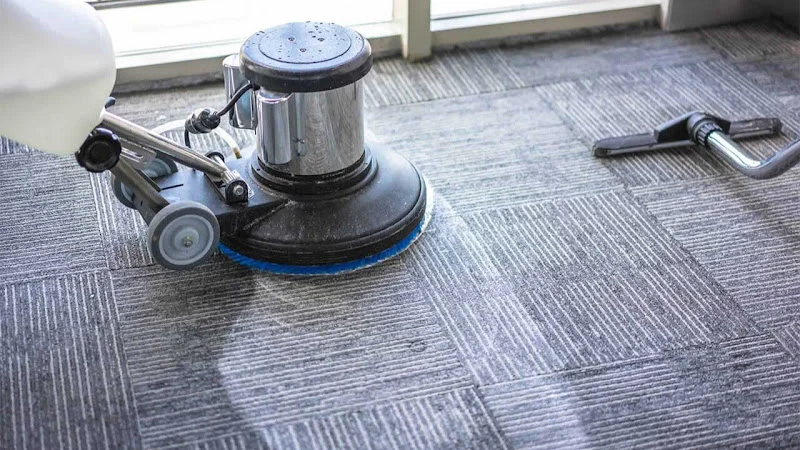 Expert Carpet's Cleaning MA