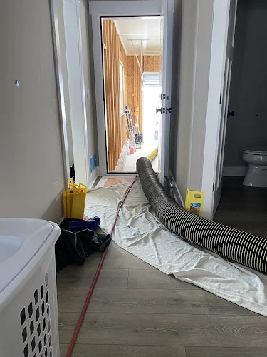 Royalty Air Duct & Carpet Cleaning