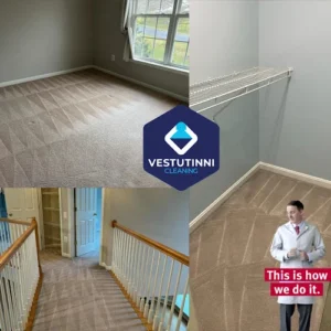 Vestutinni Cleaning