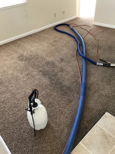 Ferrante's STEAM Carpet Cleaning