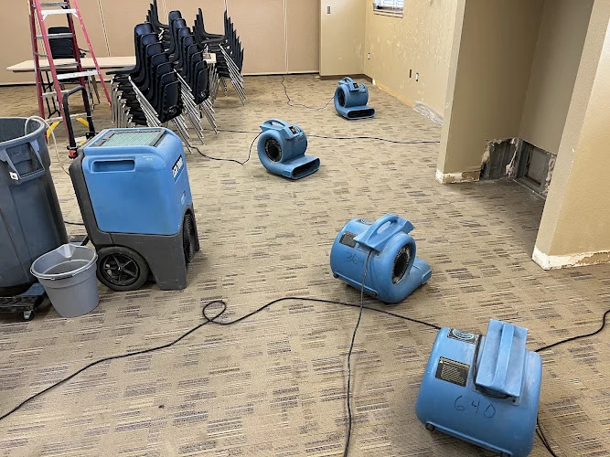 A-Steam Carpet Care