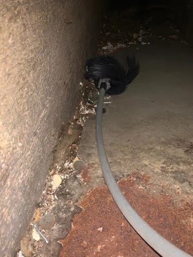 pro air duct cleaners