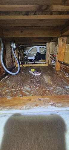 Attic Protect