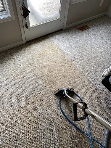 5 Star Carpet Cleaning Service