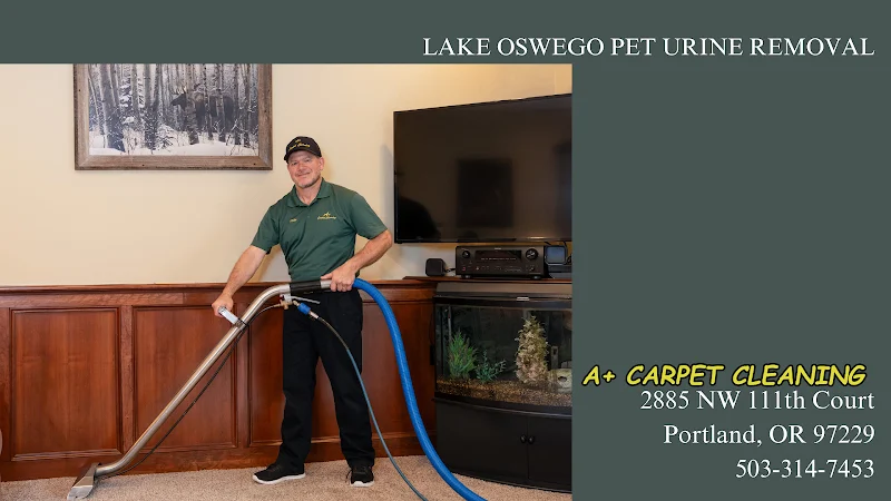 A+ Carpet Cleaning - Lake Oswego