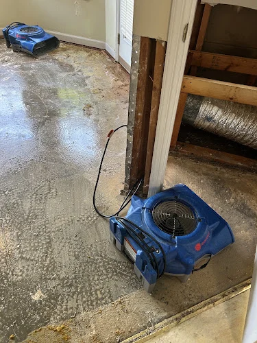 The Honest Guys Water, Fire, & Mold Damage