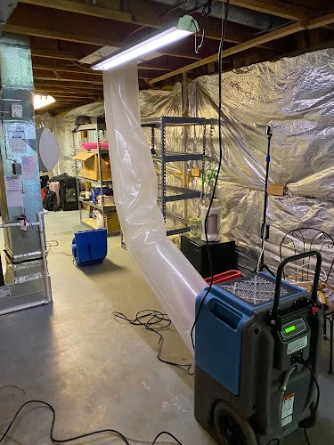 Voda Cleaning & Restoration DMV