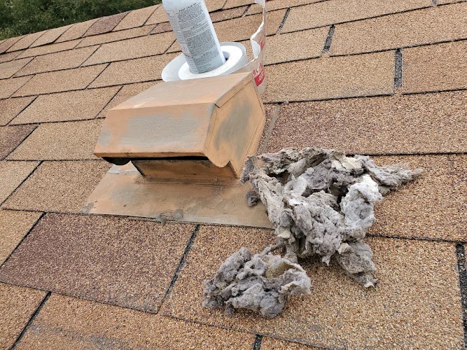 Lady Bird Air Duct, Chimney, Dryer Vent
