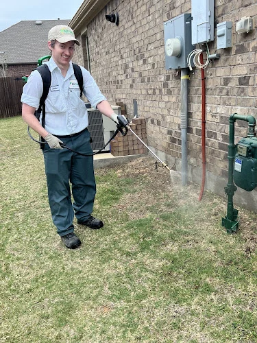 All-Safe Pest & Termite