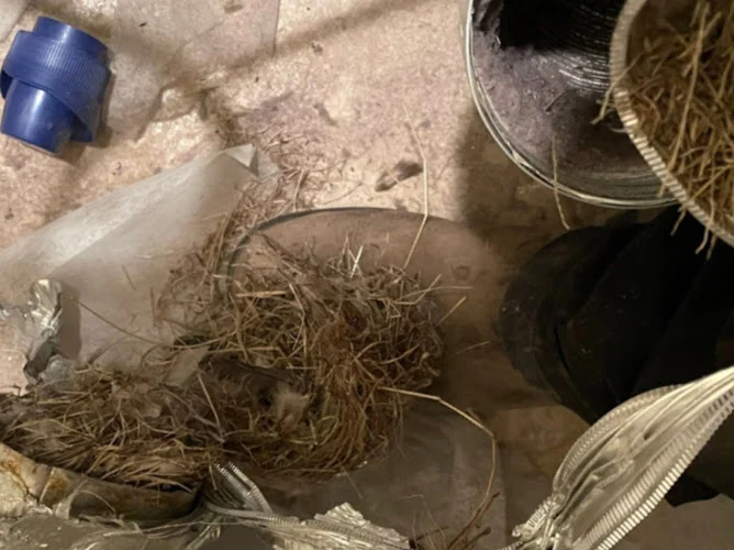 Ventwise Air Duct & Dryer Vent Cleaners