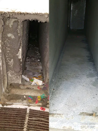 Ecogenie Cleaning