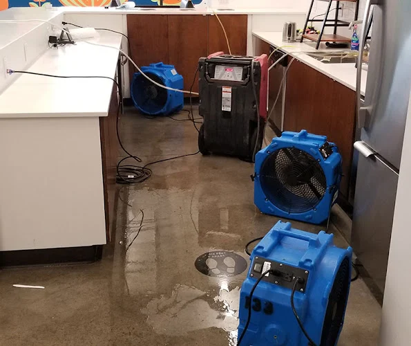 Asure Carpet Cleaning