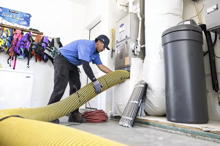 Leo & Sons Home Services