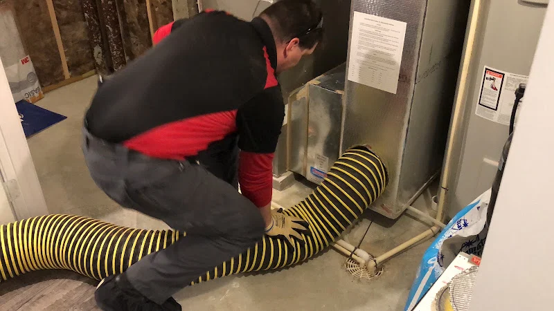 Mite-E-Ducts Air Duct Cleaning