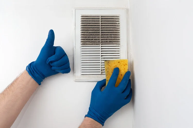 CleanAirs Air Duct Longmont