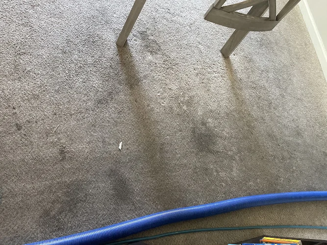Desert Steam Carpet Cleaning