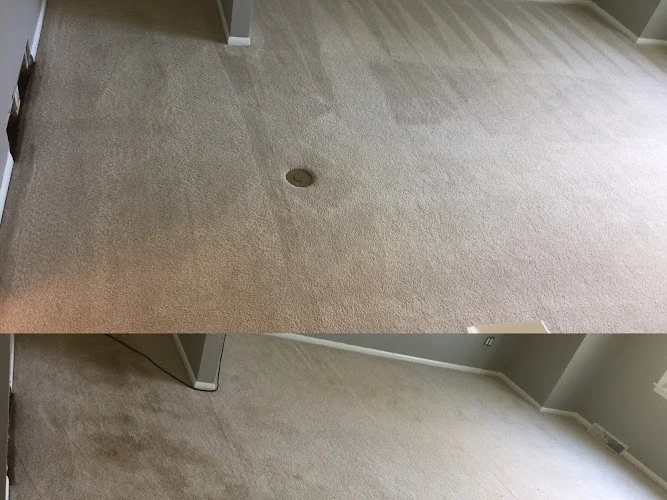 Eco-Cleaning Services