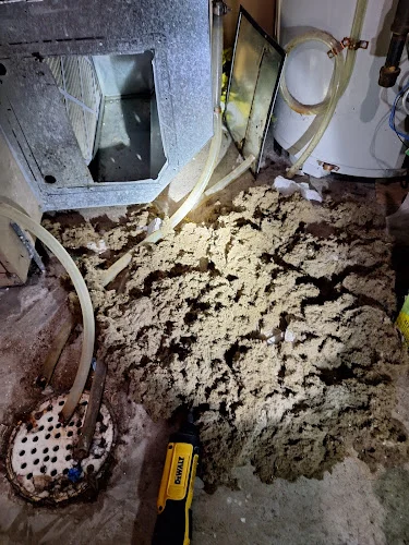 Bierchtree Duct Cleaning