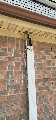 Affordable Pest Management