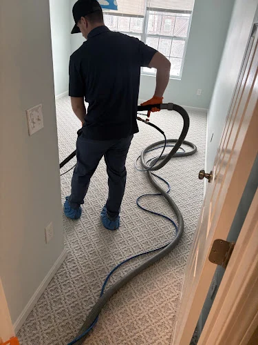 Triton Steam Cleaning