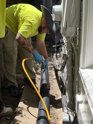 Smart Solutions Wildlife Removal