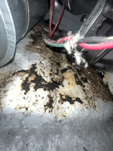 Friendly Dryer Vent Cleaning of Raleigh