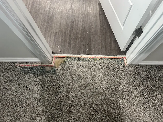 Bell Carpet Cleaning Services, LLC