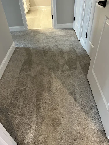 AAA carpet