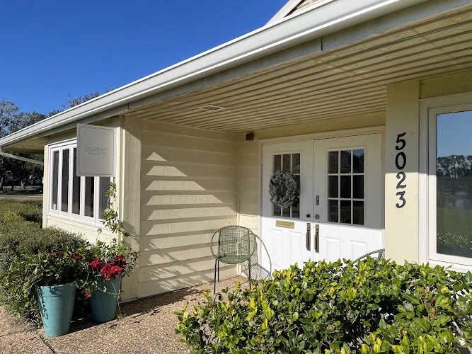 Sarasota Duct Detox