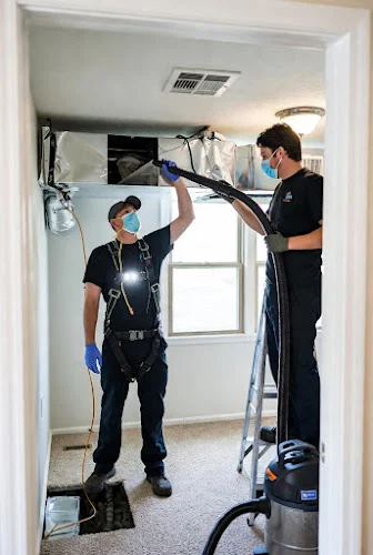 Expert Cleaning Service