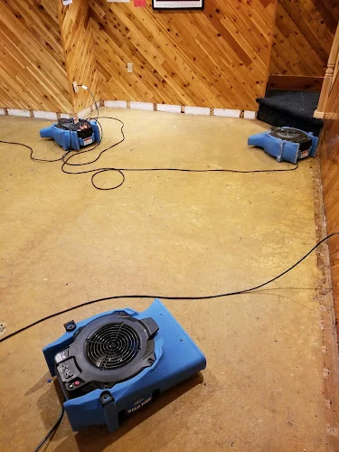 Bulldog Cleaning & Restoration