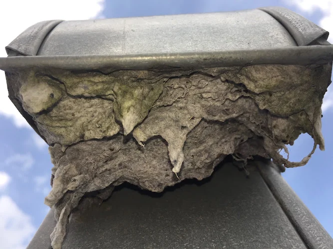 Vent Doctor - Dryer Vent Cleaning