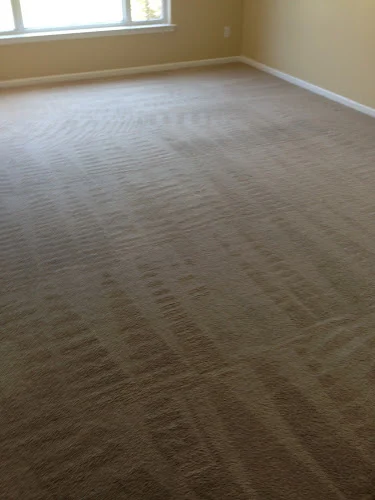 His master's carpet cleaning& chimneysweep