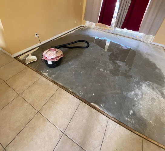Ahold of Mold Environmental