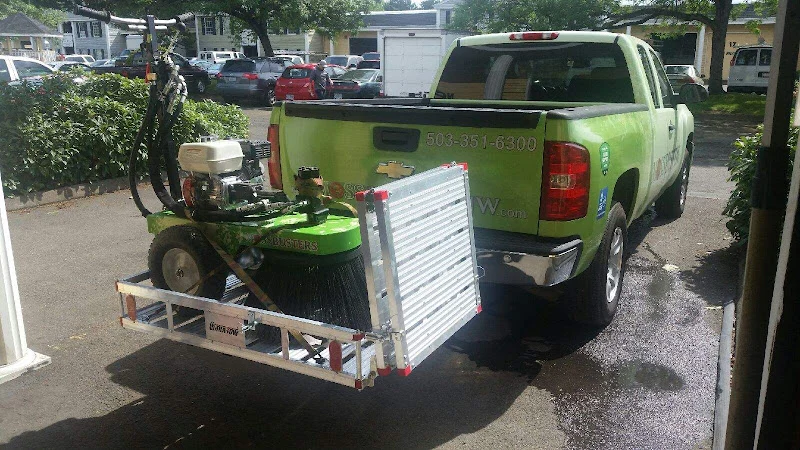 Moss Busters