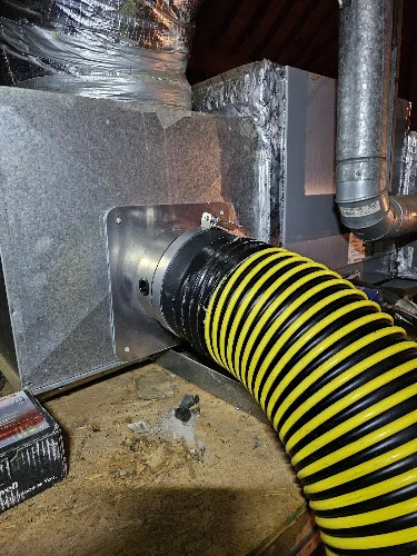 Watson Duct and Chimney
